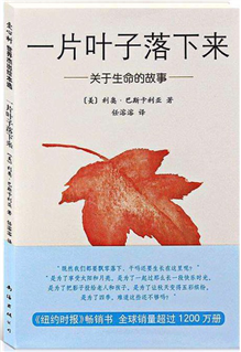 一片叶子落下来.png